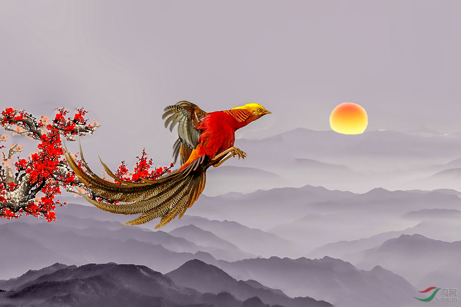 6067151_223406855000_2 (2)_����.jpg