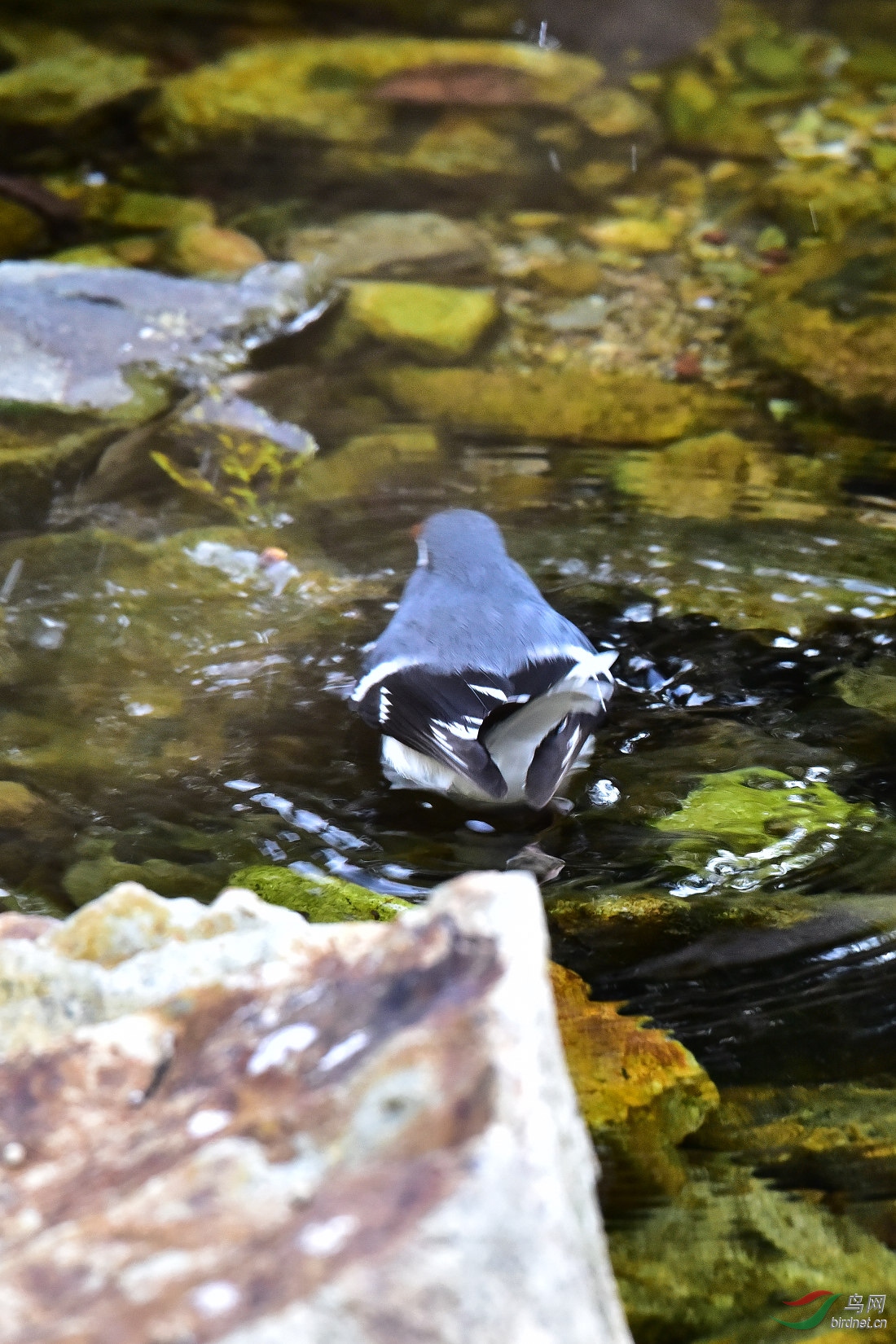 DSC_0047.JPG