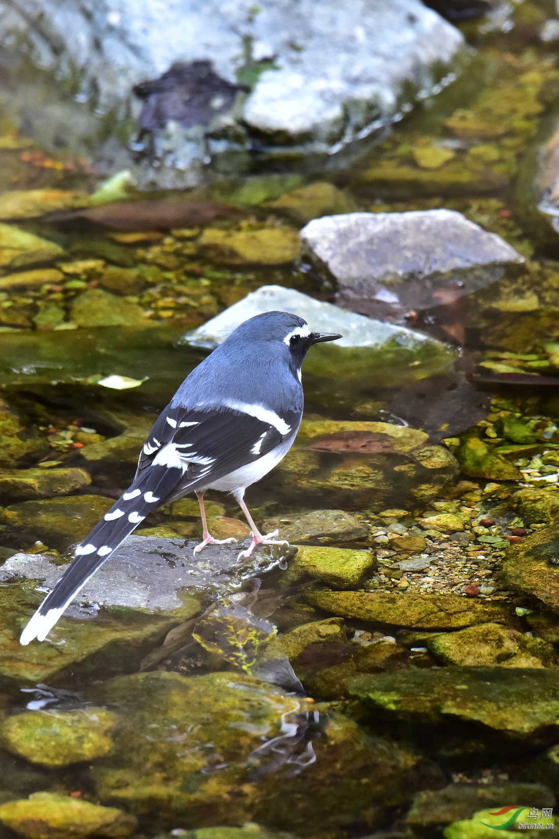 DSC_0048.JPG