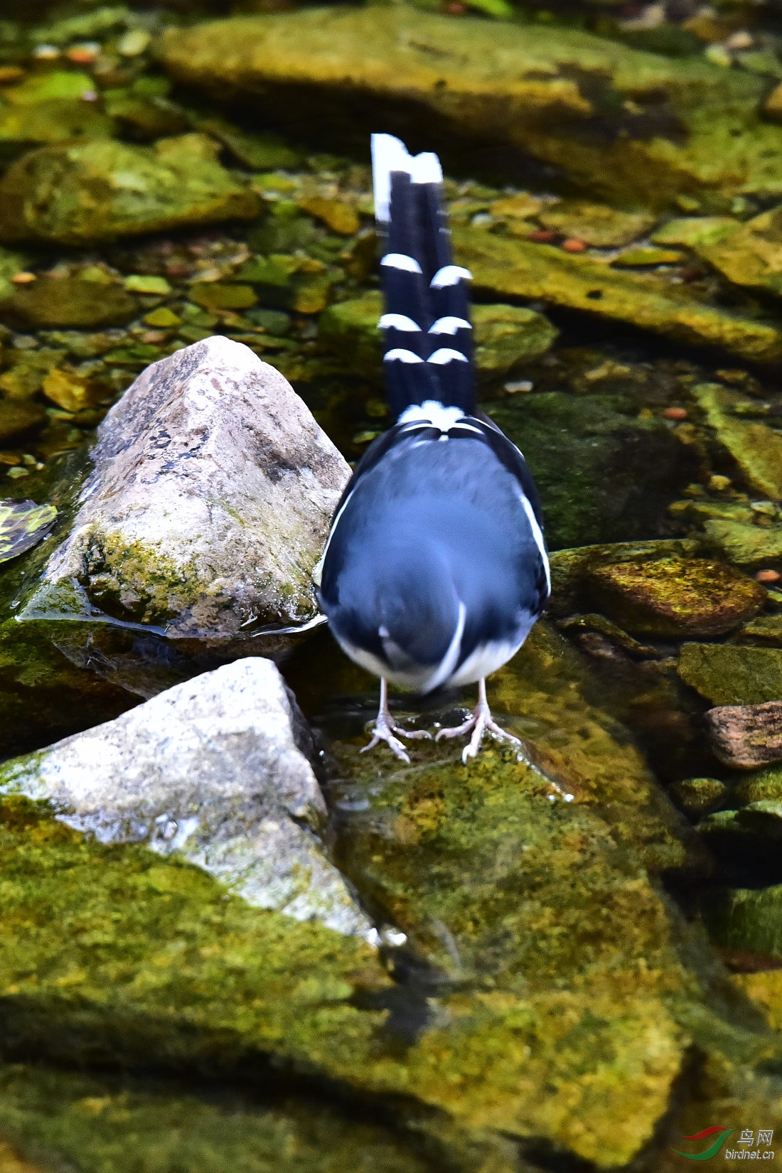 DSC_0049.JPG