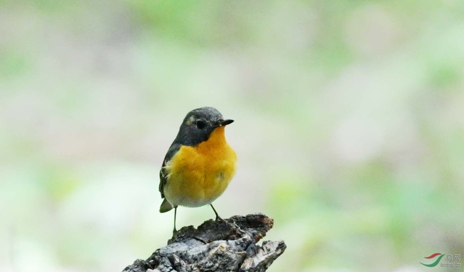 DSC_5004_����.jpg