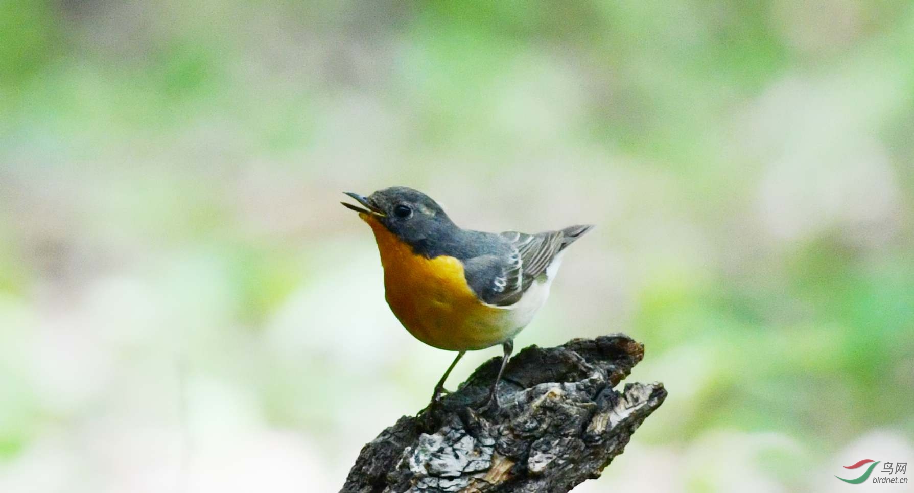 DSC_5006_����.jpg