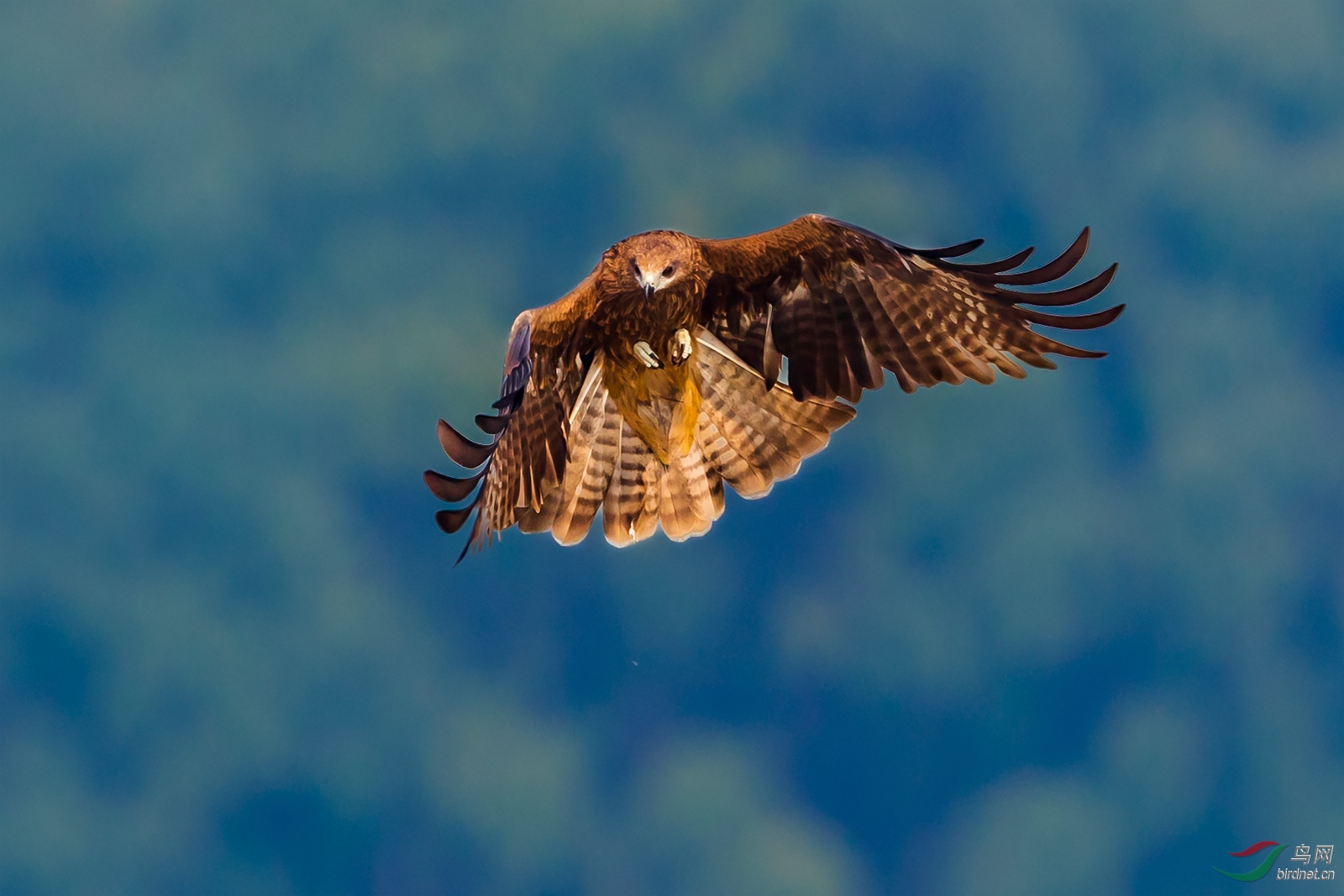 1DX_6374-3.jpg