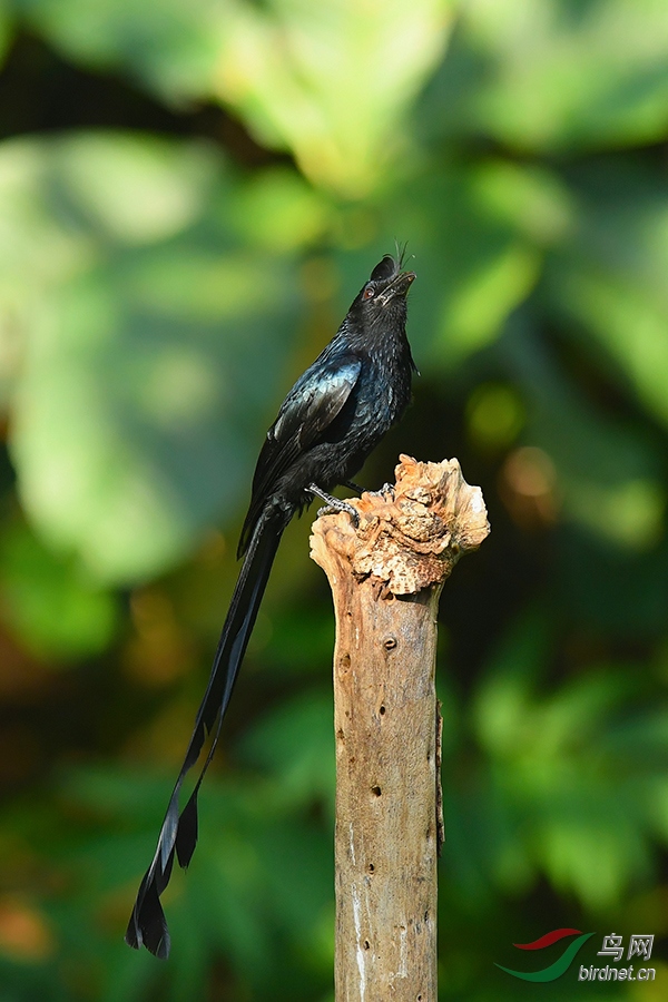 DSC_2024_DxOa.jpg