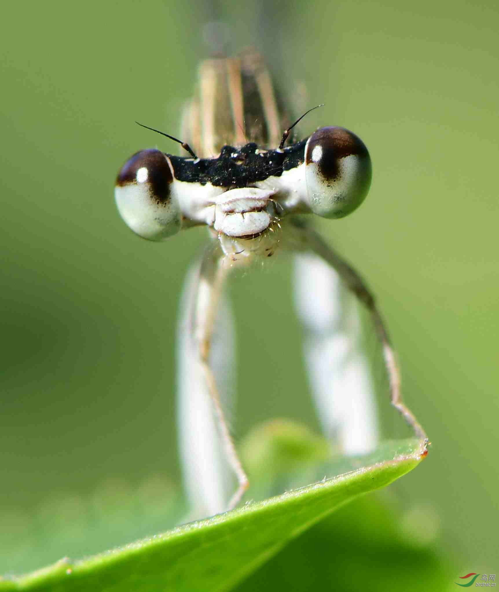 DSC_1330_����.jpg