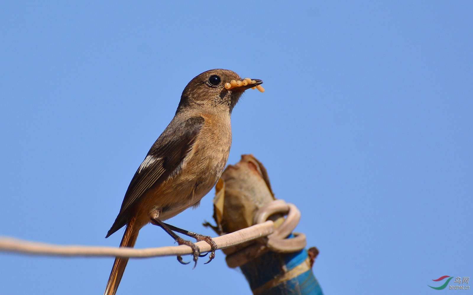 DSC_8576.JPG