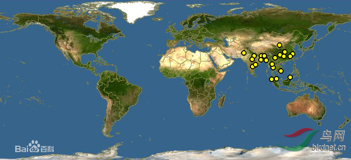 �߼���ľ��