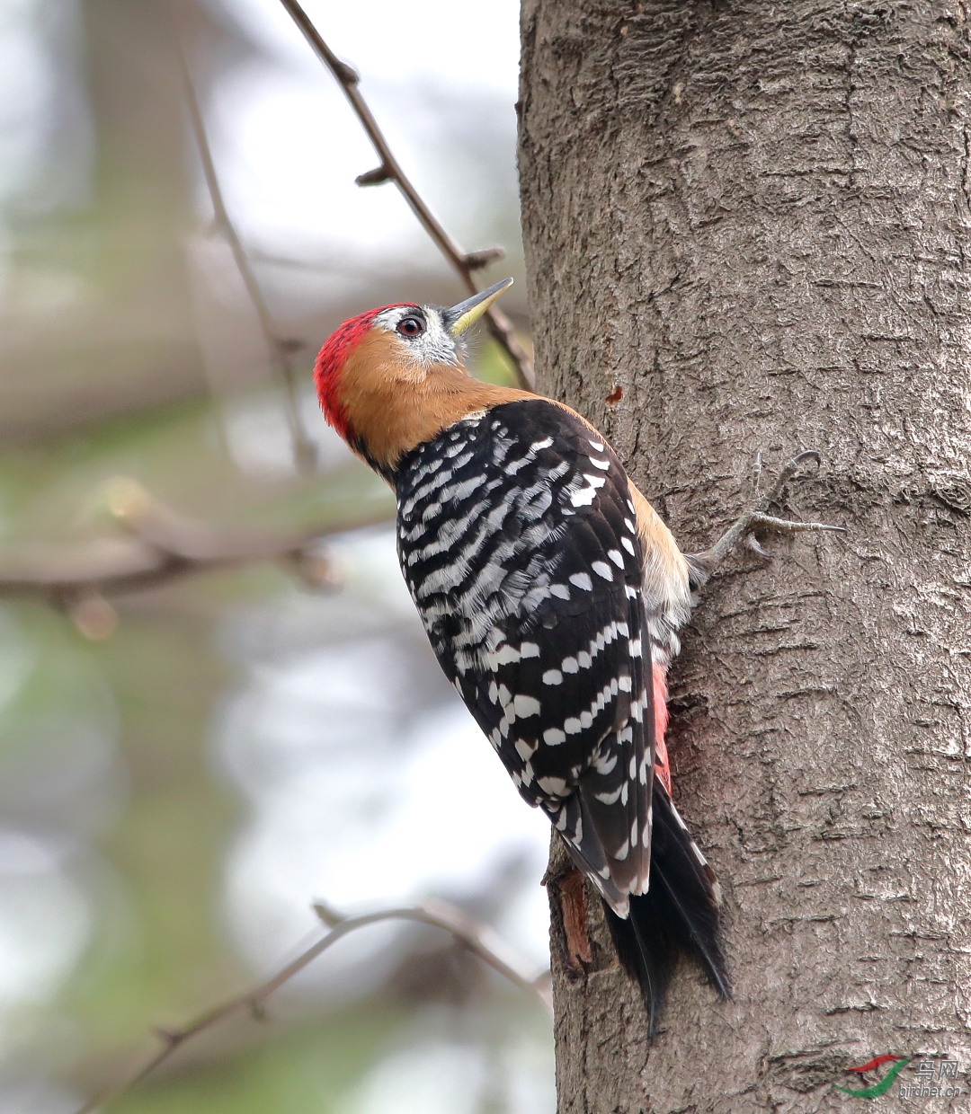 �����һ�β���10��