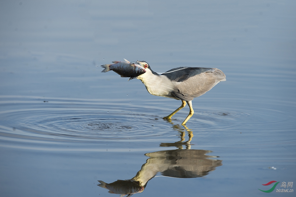 _DSC2791p5.jpg