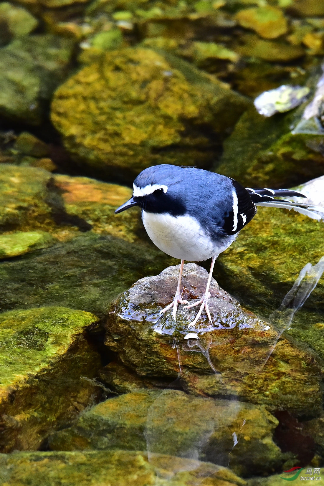 DSC_0053.JPG