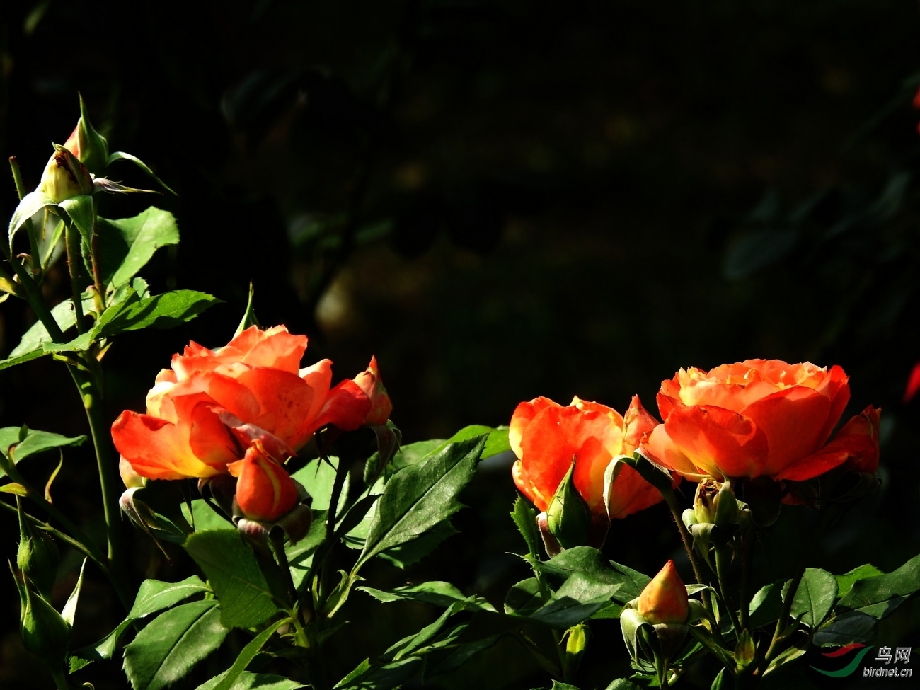 DSCN3480.JPG