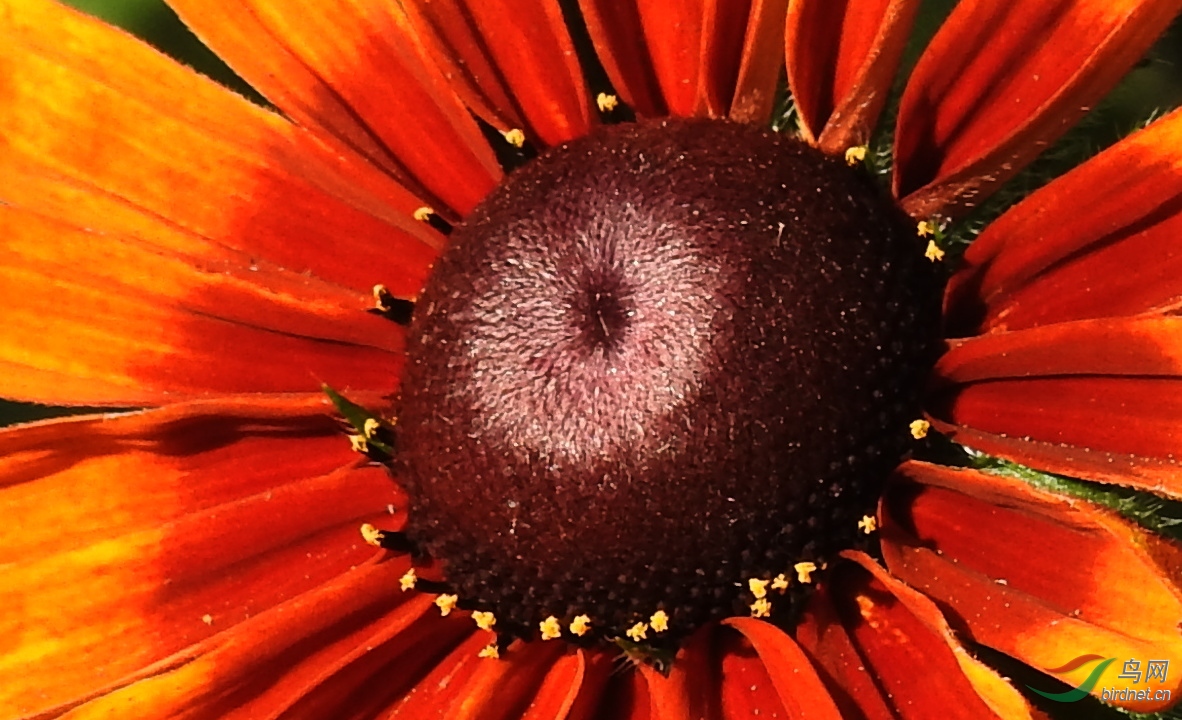 DSCN3720.JPG