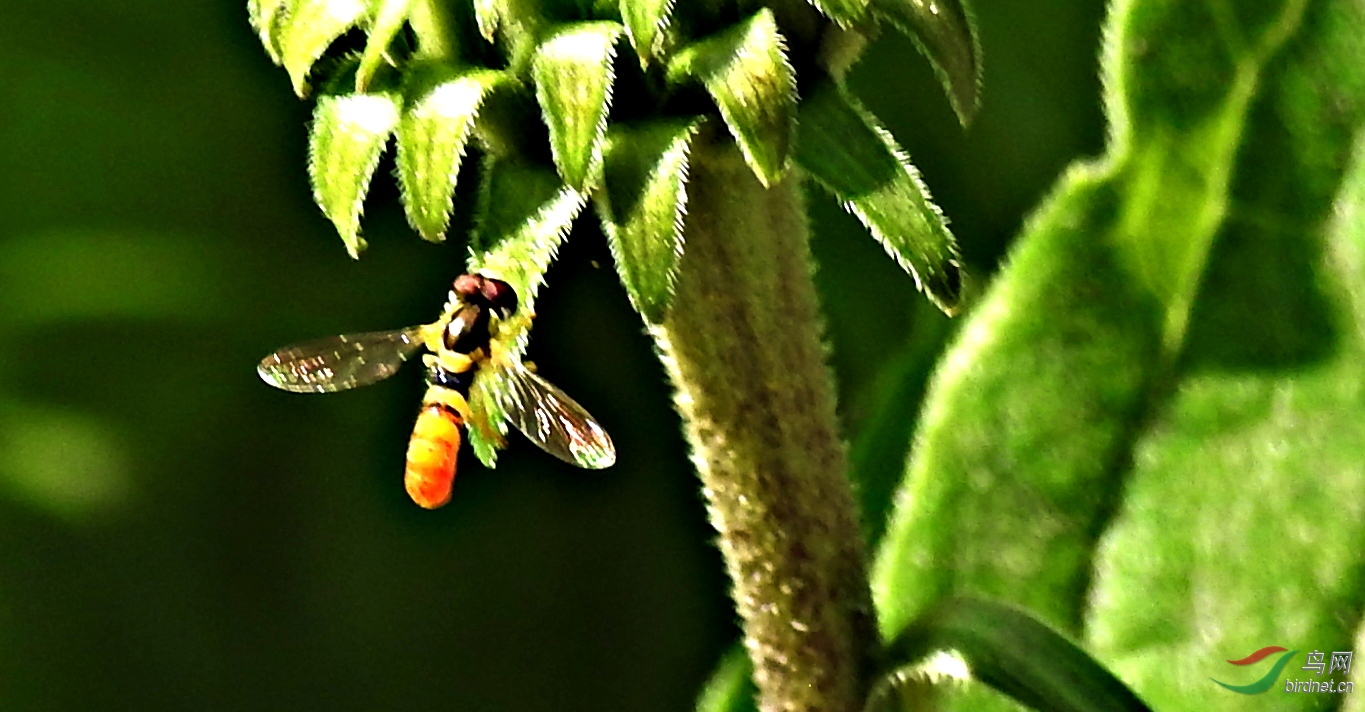 DSCN3772.JPG