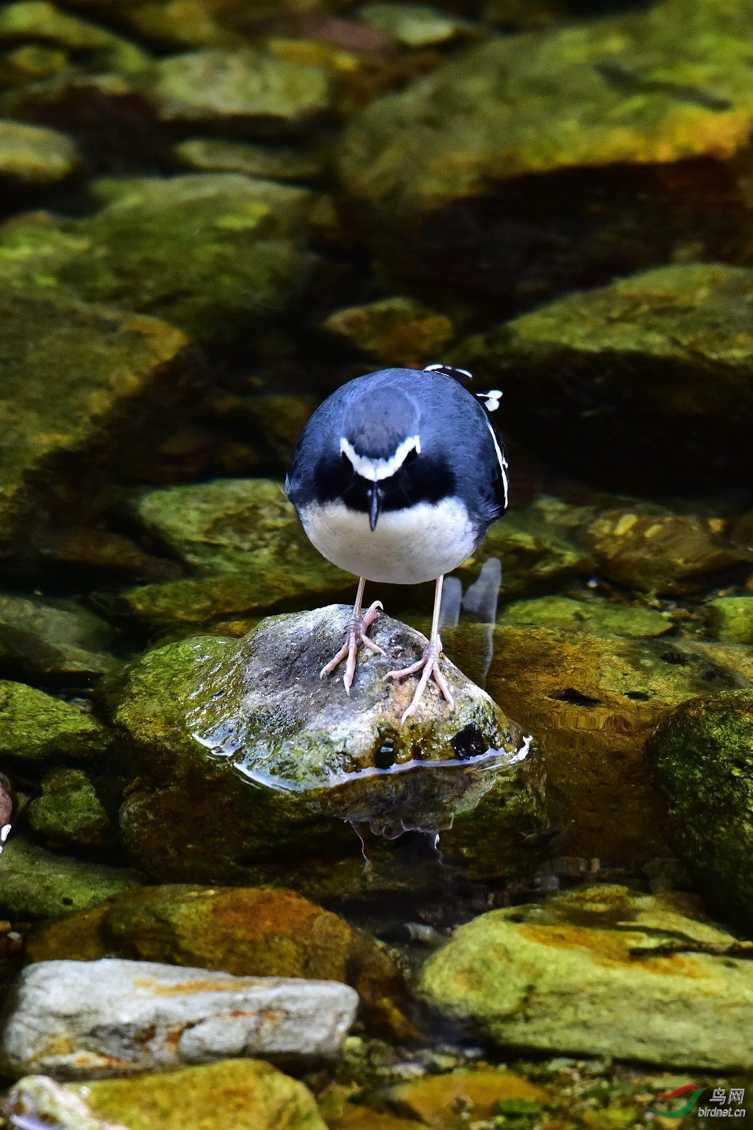 DSC_0057.JPG
