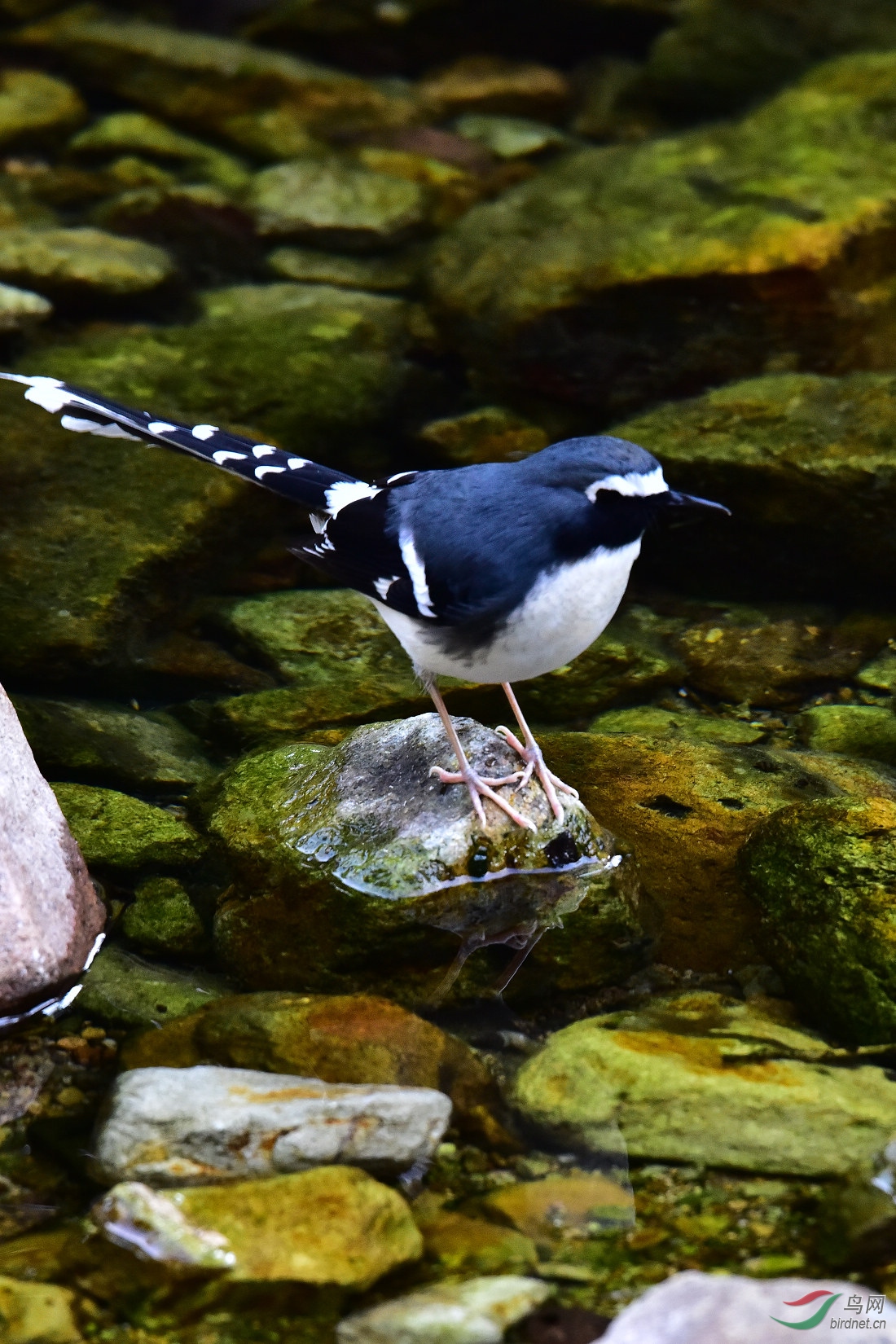 DSC_0058.JPG