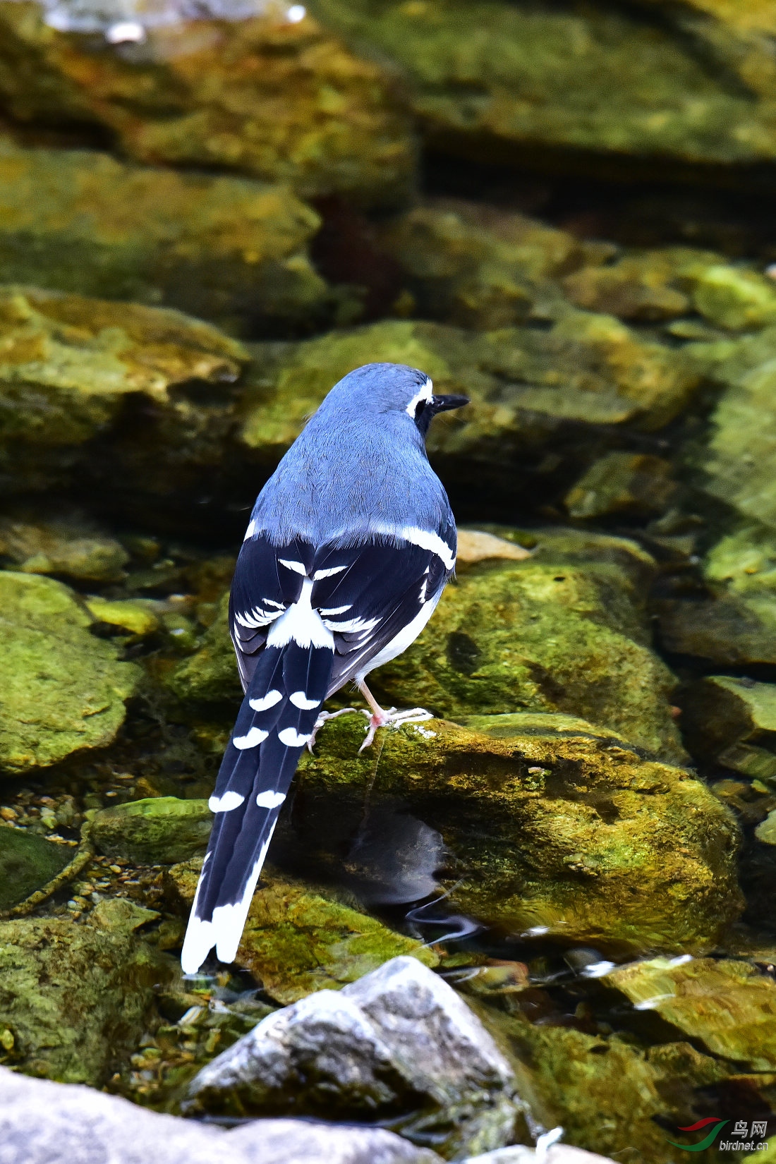 DSC_0059.JPG