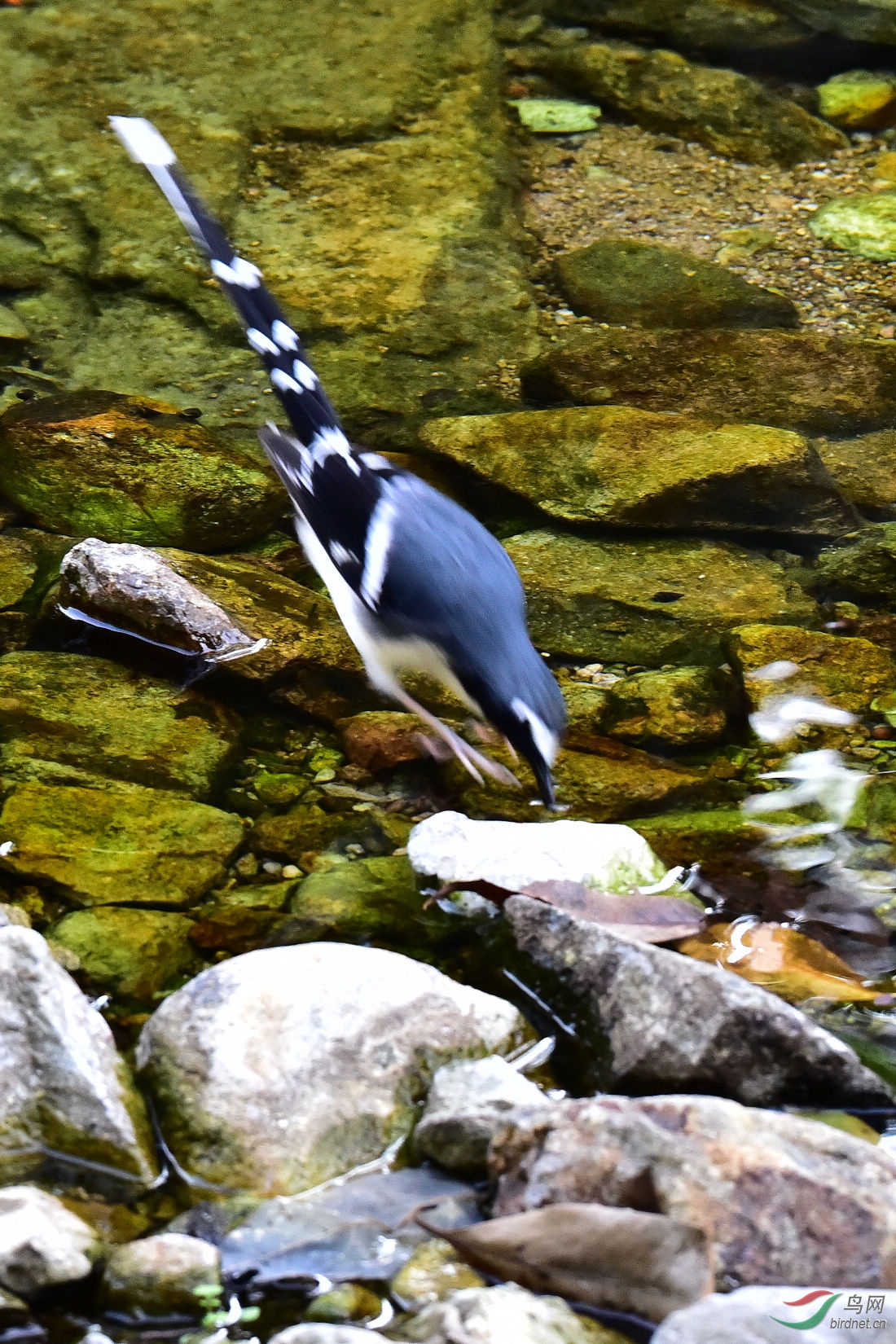 DSC_0061.JPG