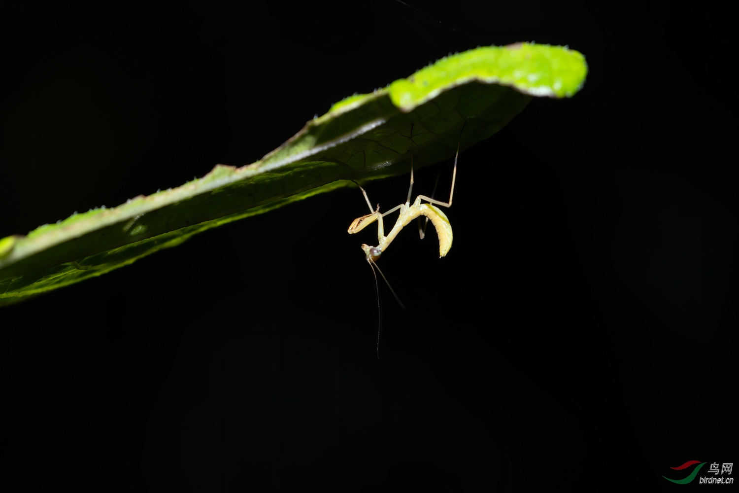 _DSC1428_1.jpg