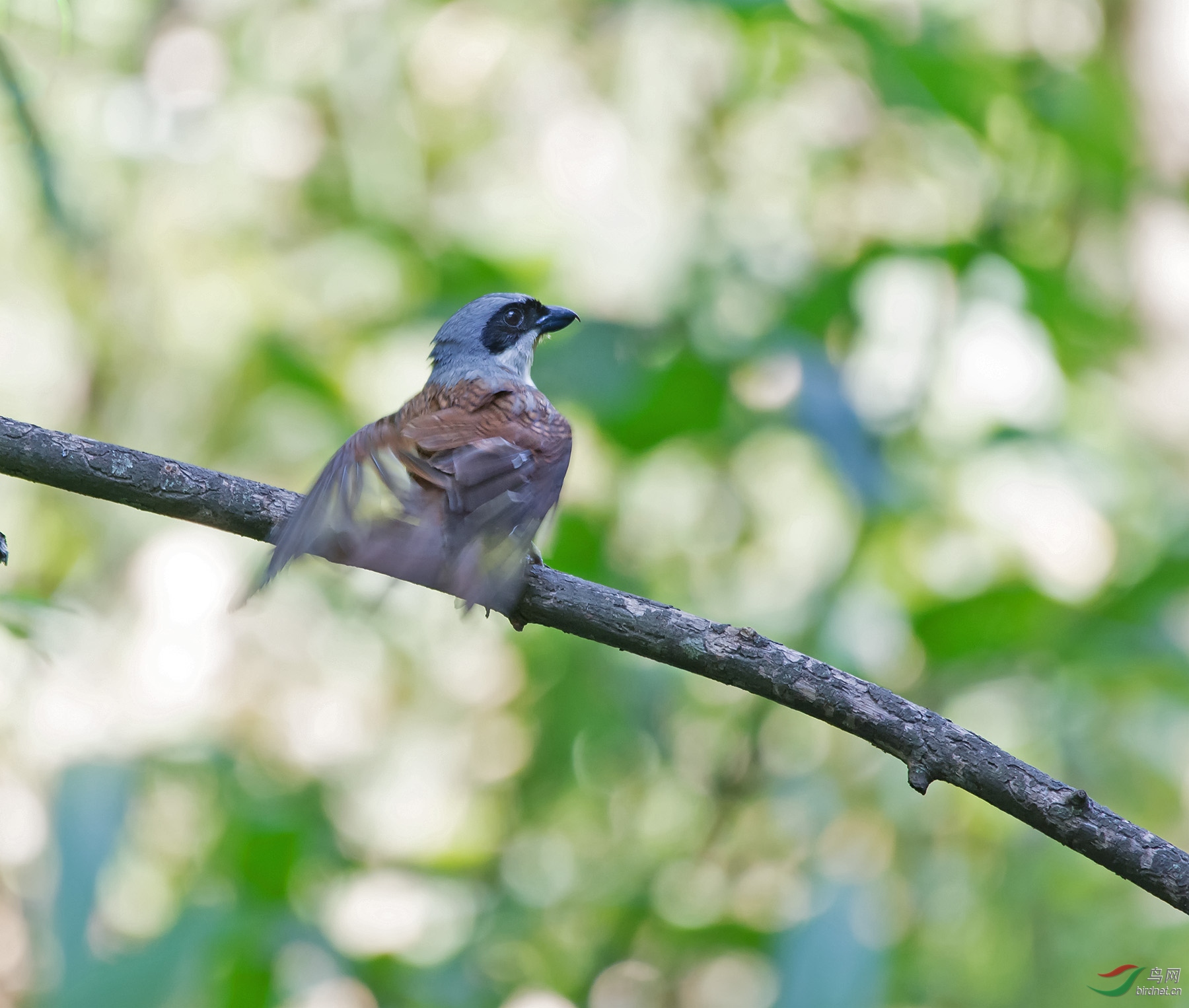 DSC_6596.jpg