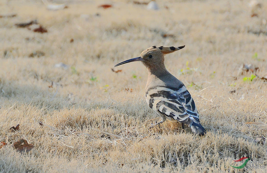 DSC_0579.JPG