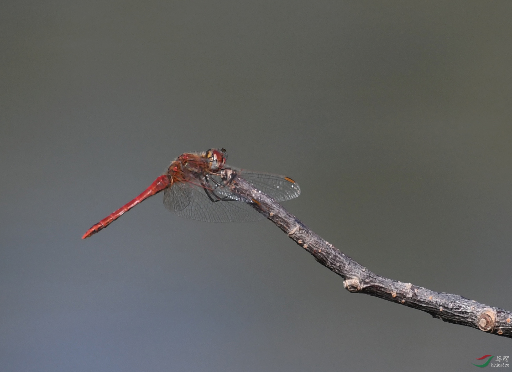 ������Ӱ 10066����.jpg