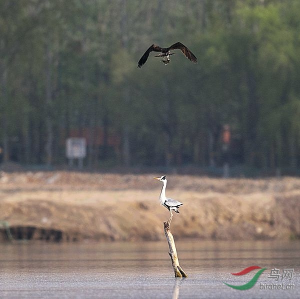 _J4W6948.jpg