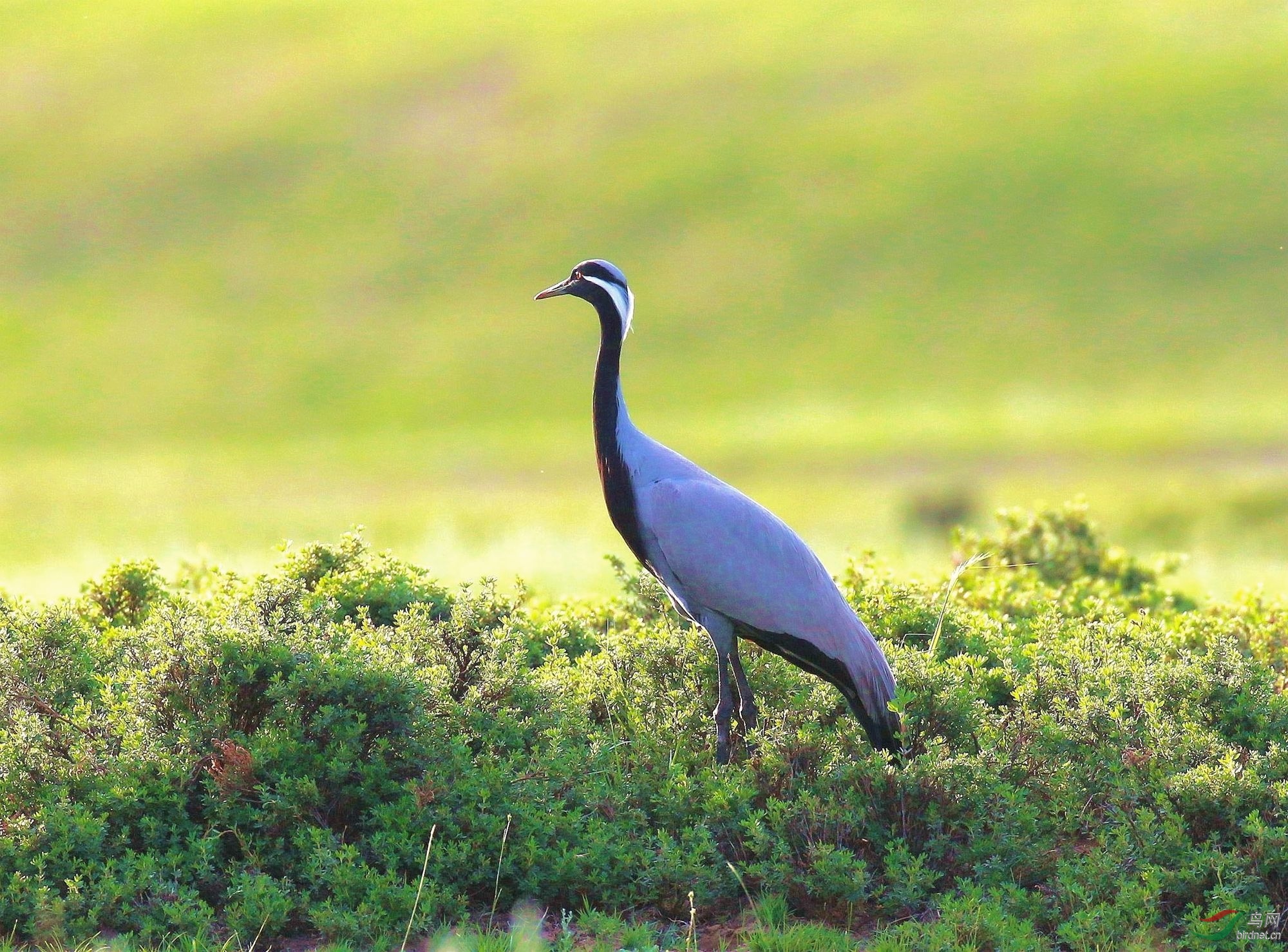 AK2Y9967_2000 (2).jpg