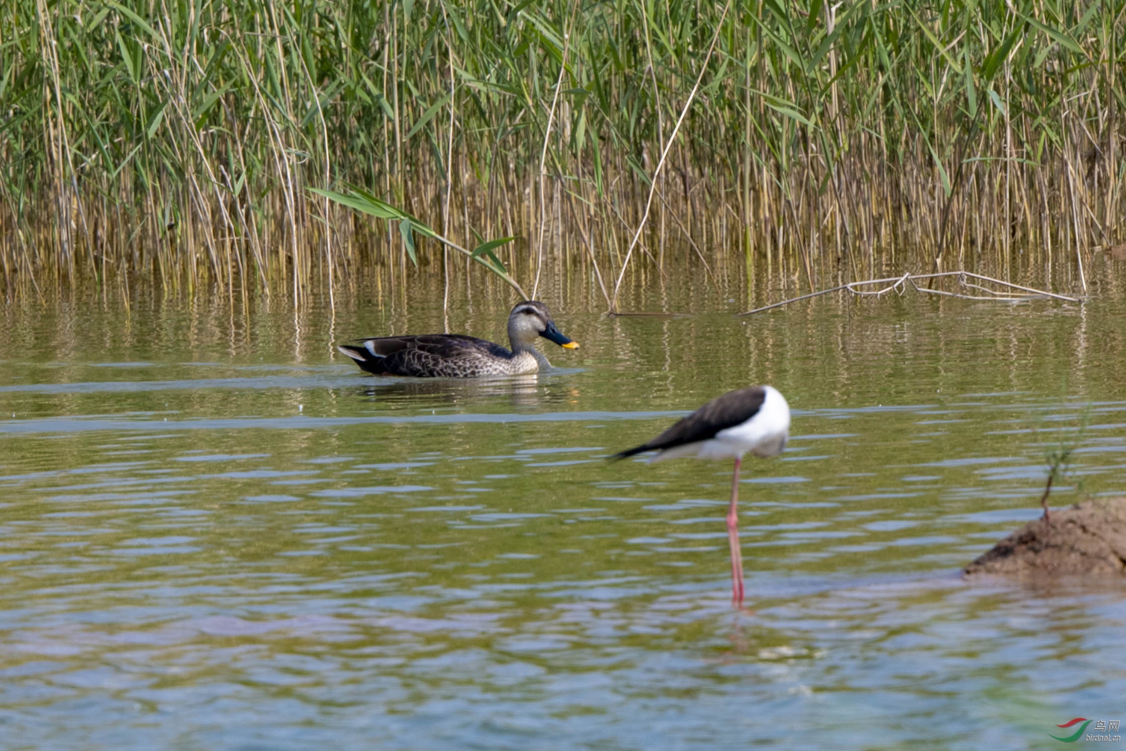 D50_0108.jpg
