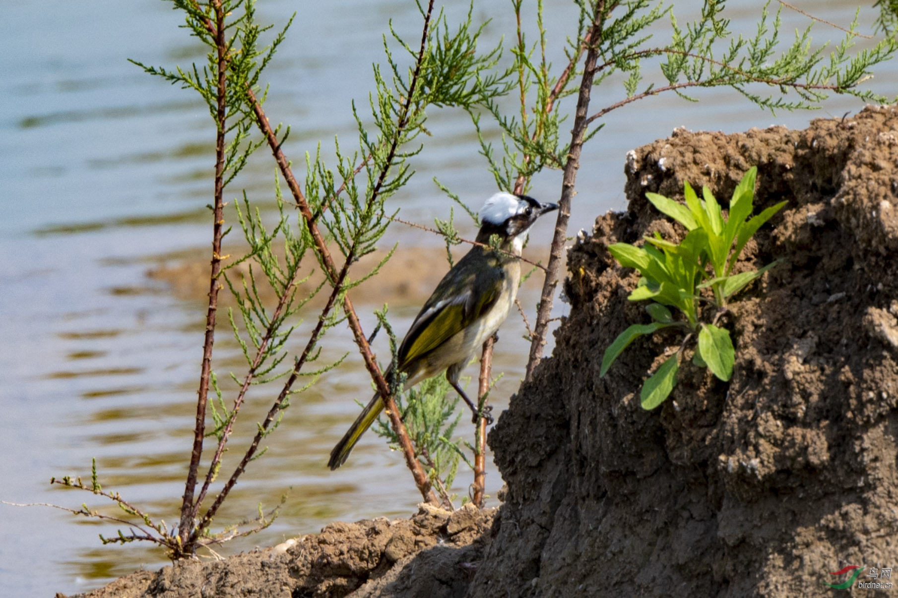 D50_0120.jpg