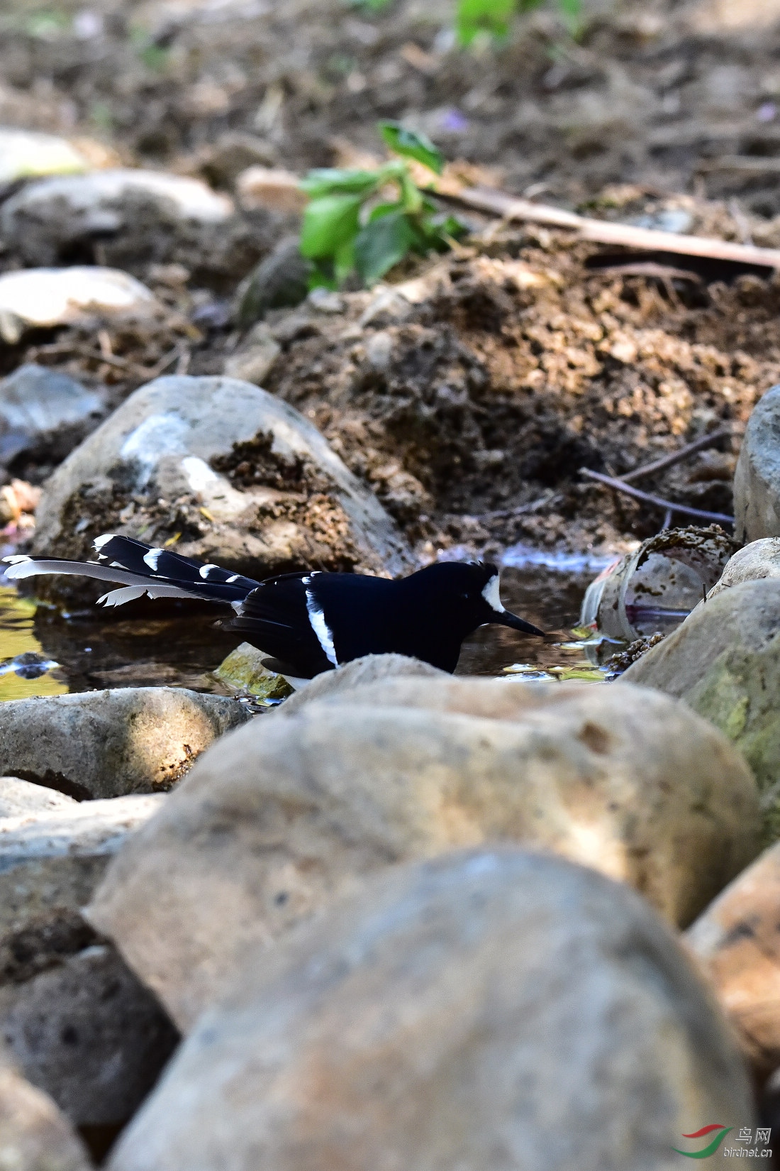 DSC_0068.JPG