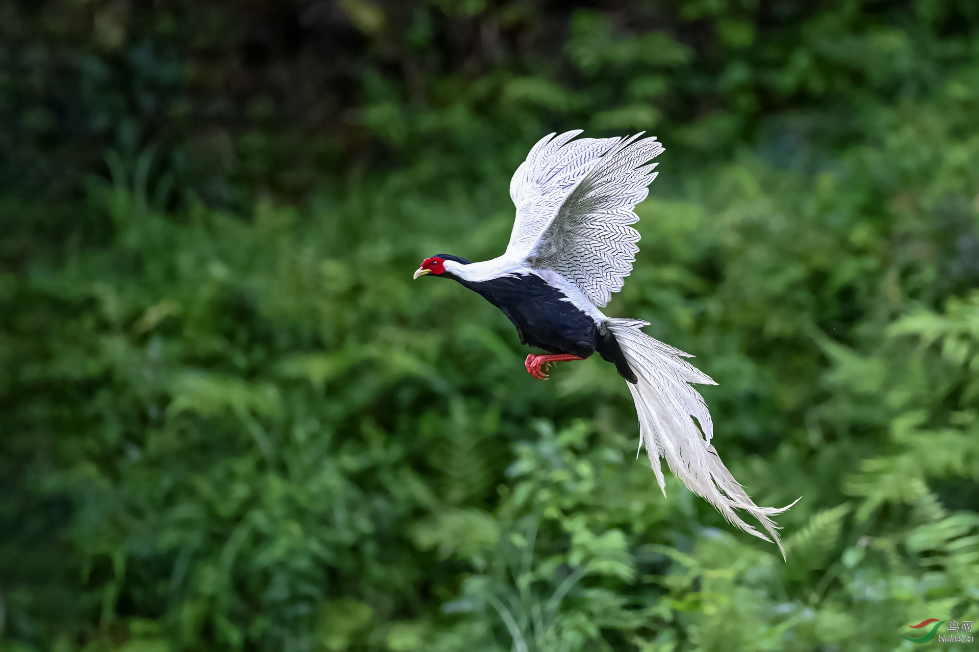 DSC_4903.jpg