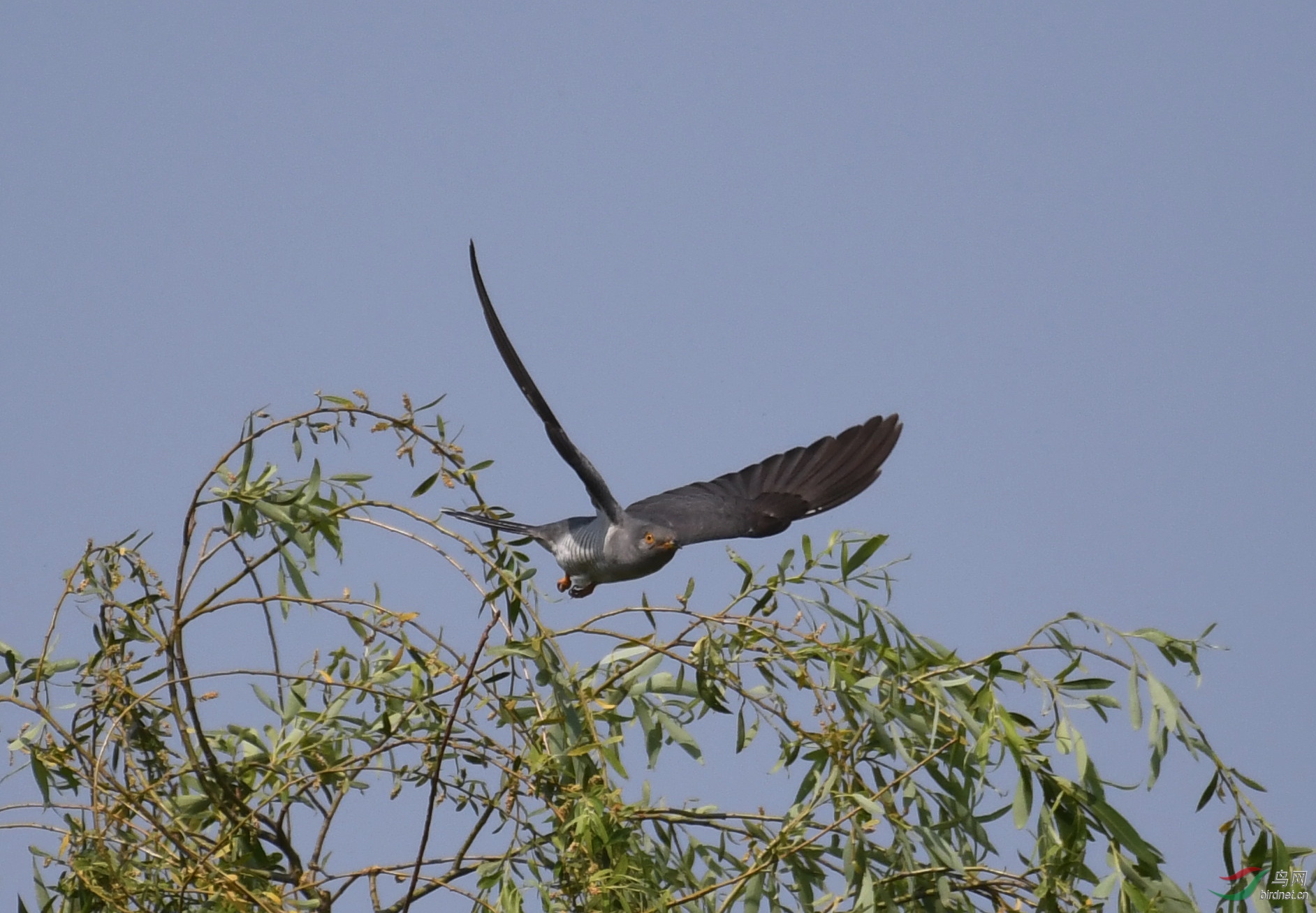 ������Ӱ 10145����.jpg