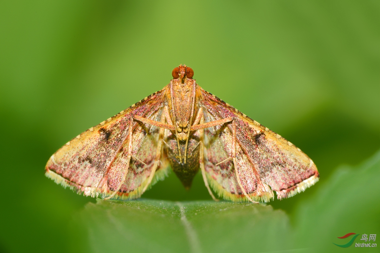 DSC_1031 ��������.jpg