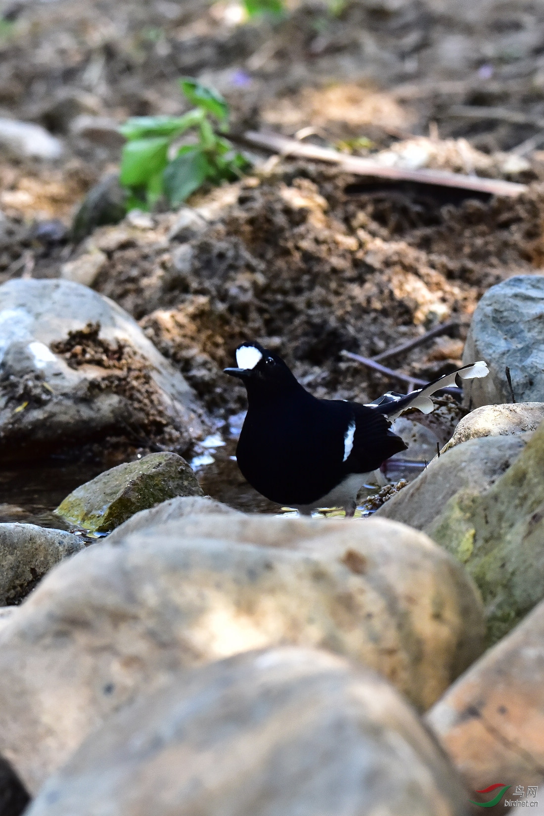 DSC_0072.JPG