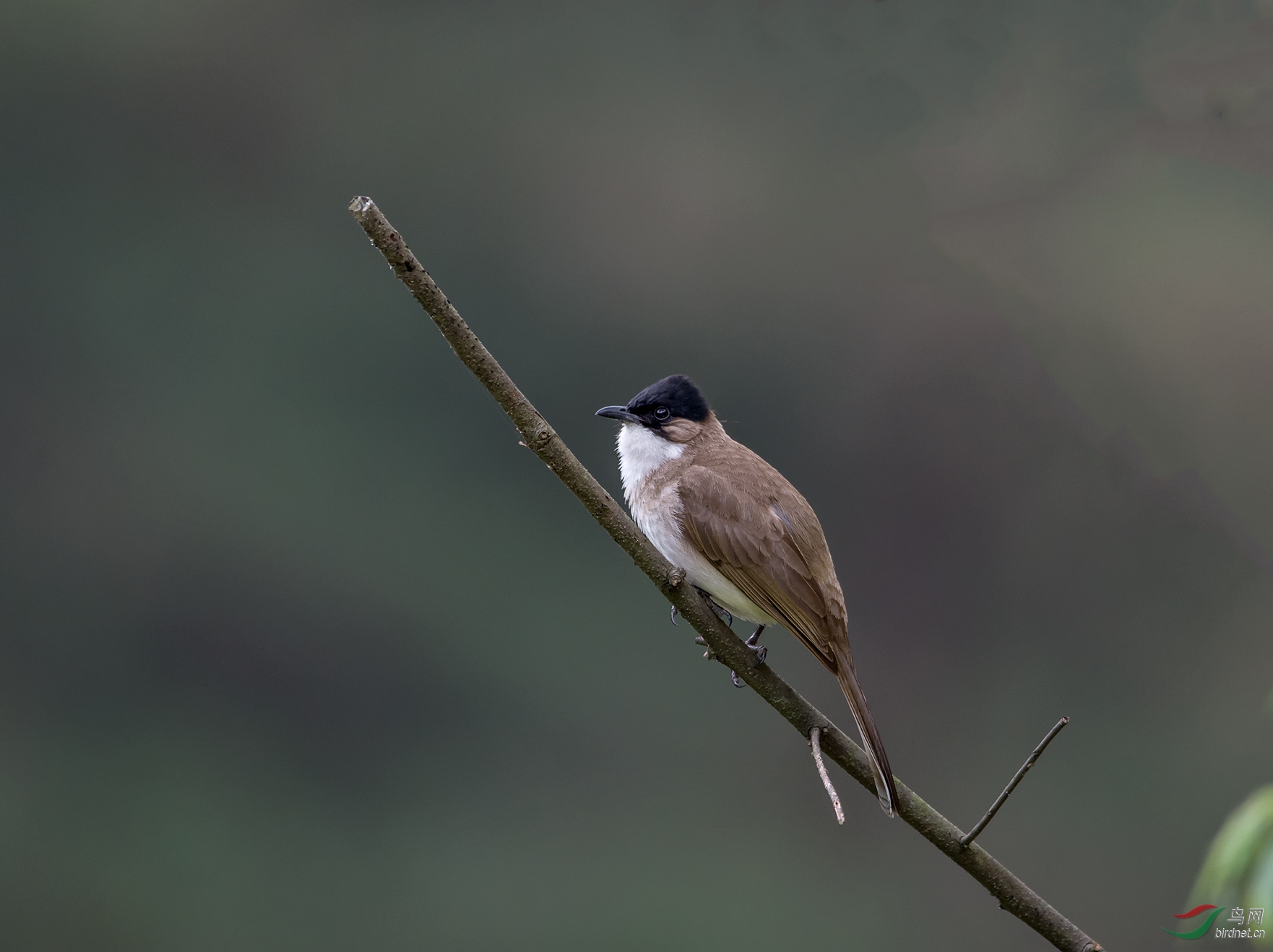 DSC_6656.jpg