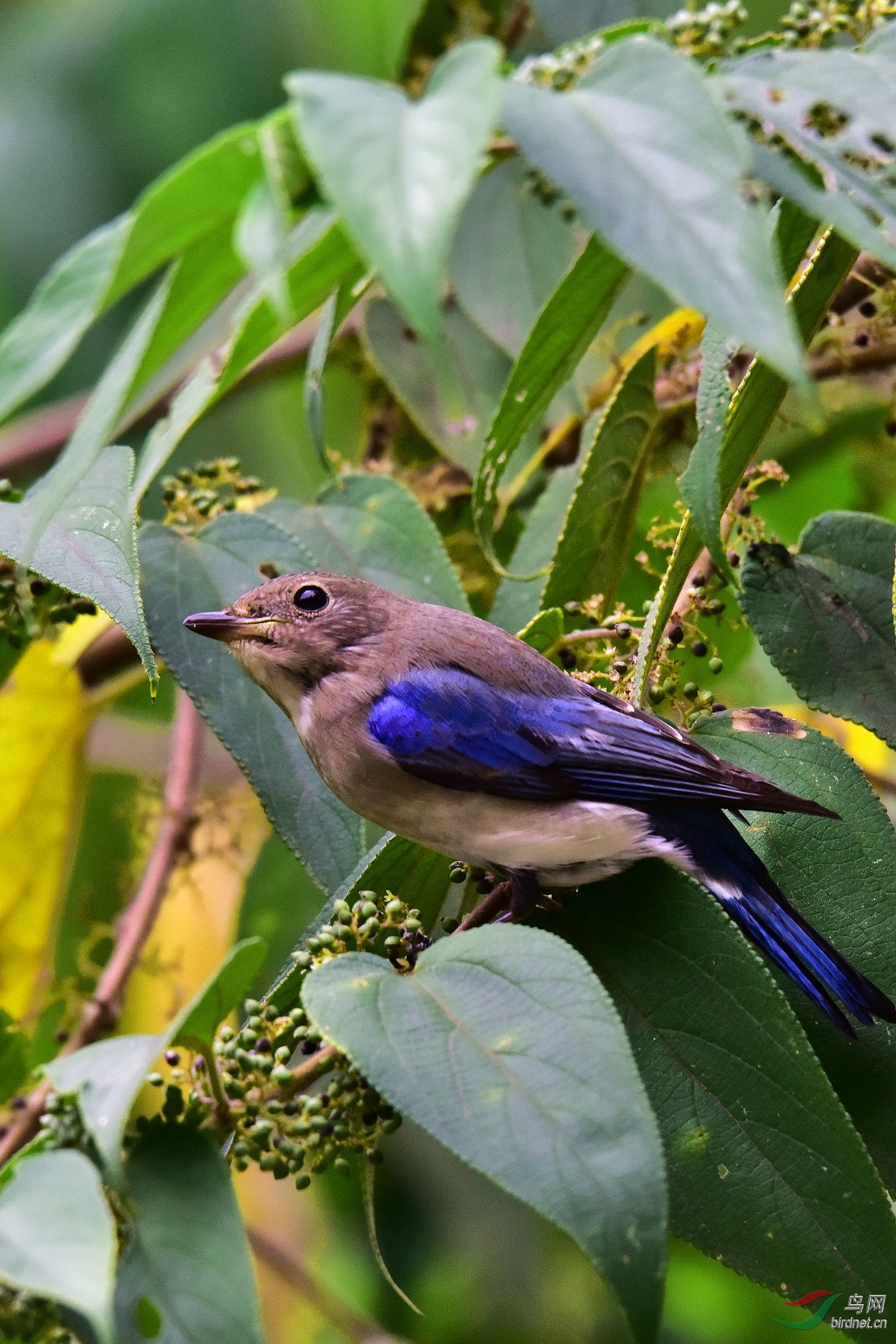 DSC_1153.JPG