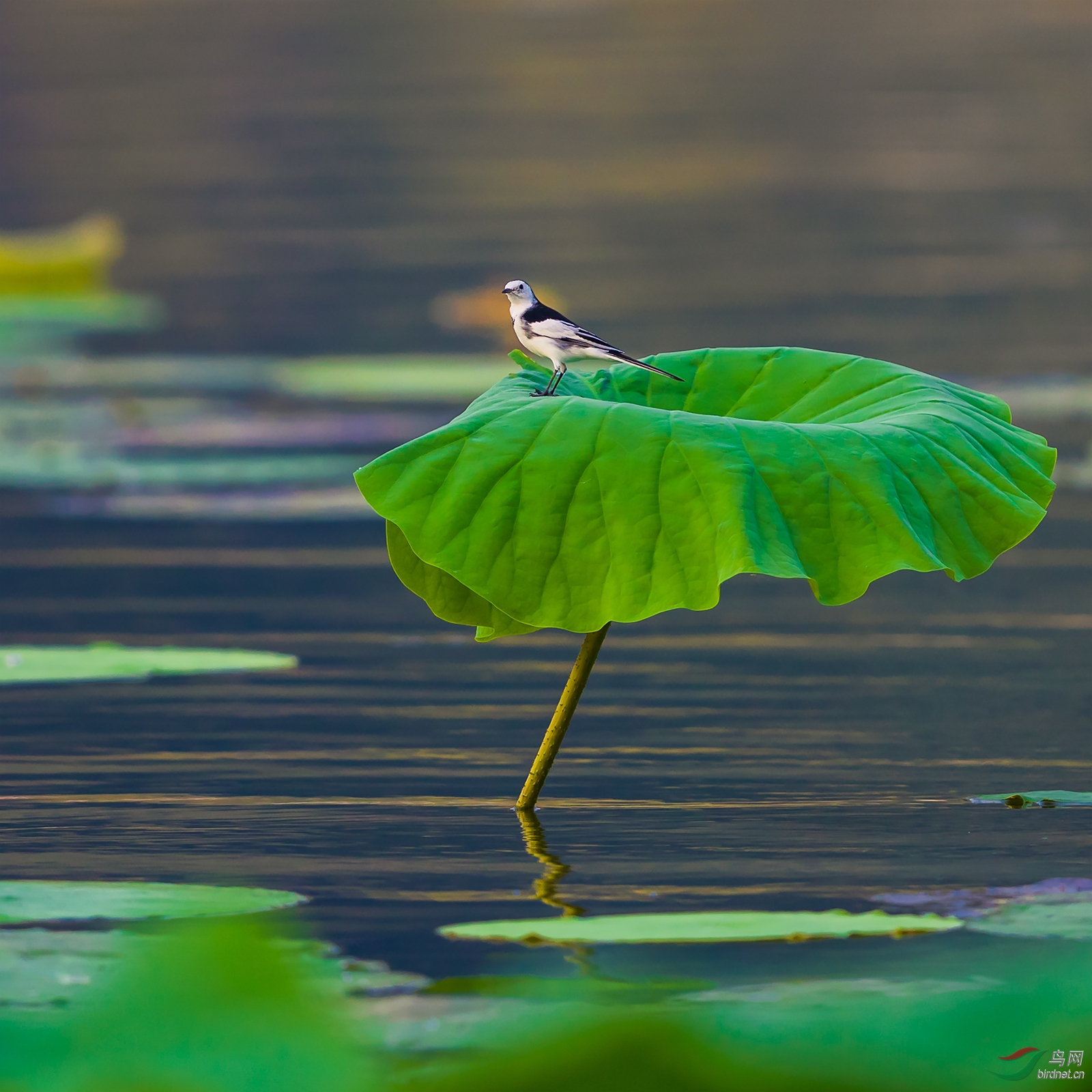 1DX_8734-3.jpg