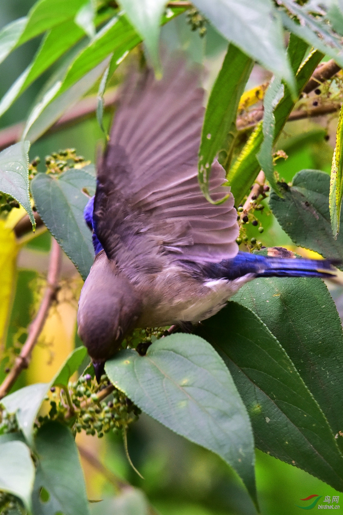 DSC_1155.JPG