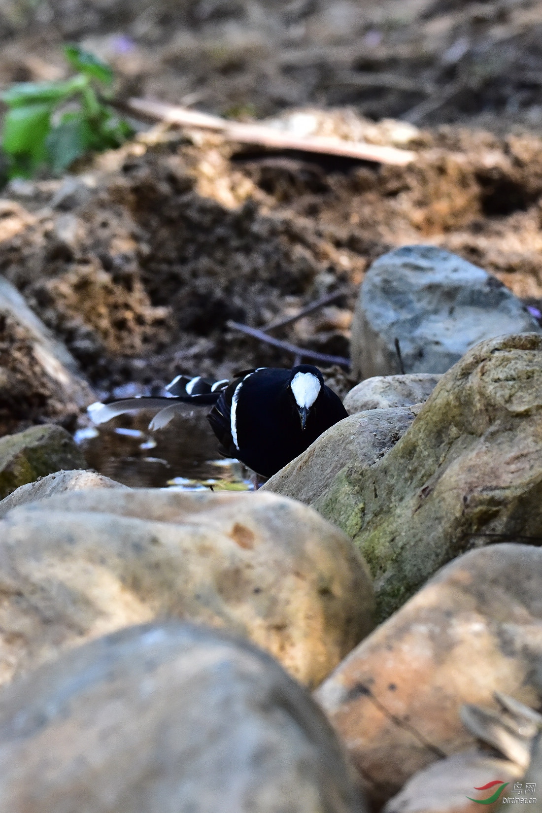 DSC_0077.JPG