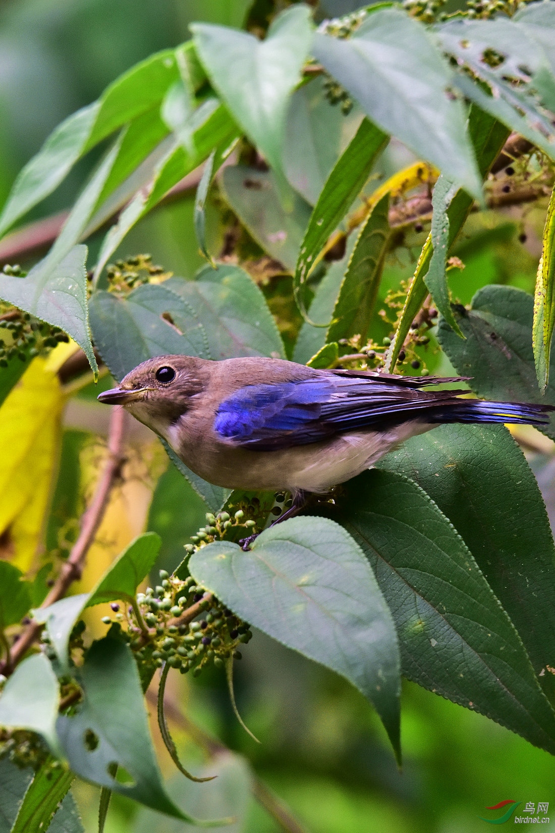 DSC_1158.JPG
