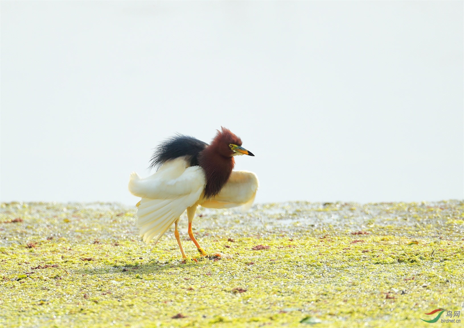 4 - ����.JPG