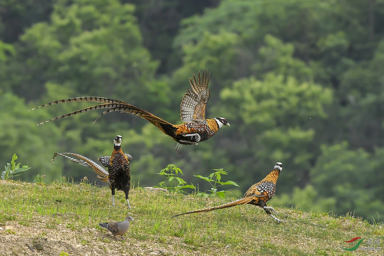 DSC_3254-2.jpg