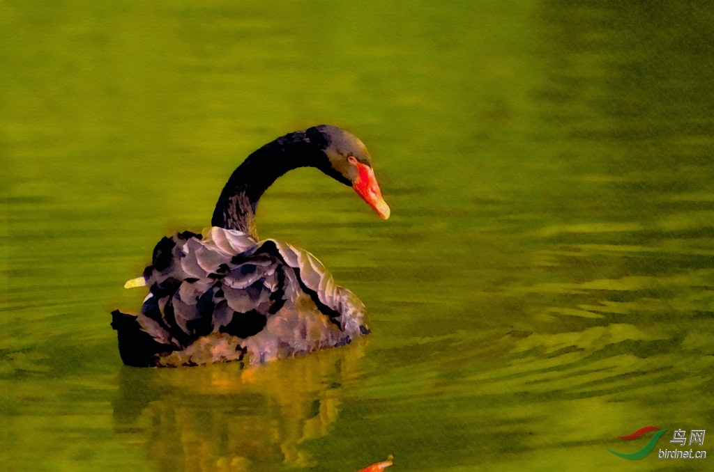 ����� (14).jpg