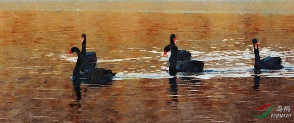 ����� (22).jpg