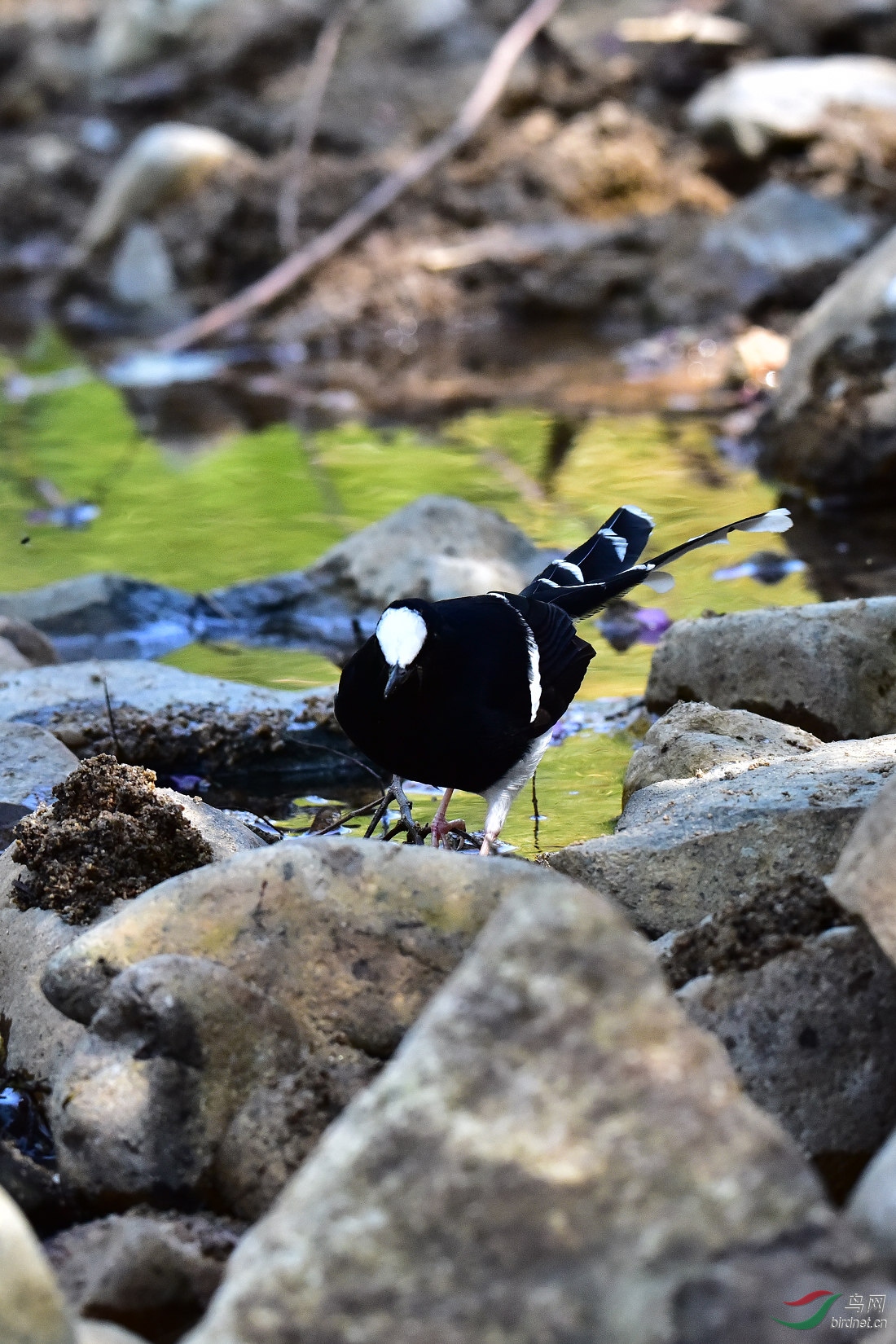 DSC_0082.JPG