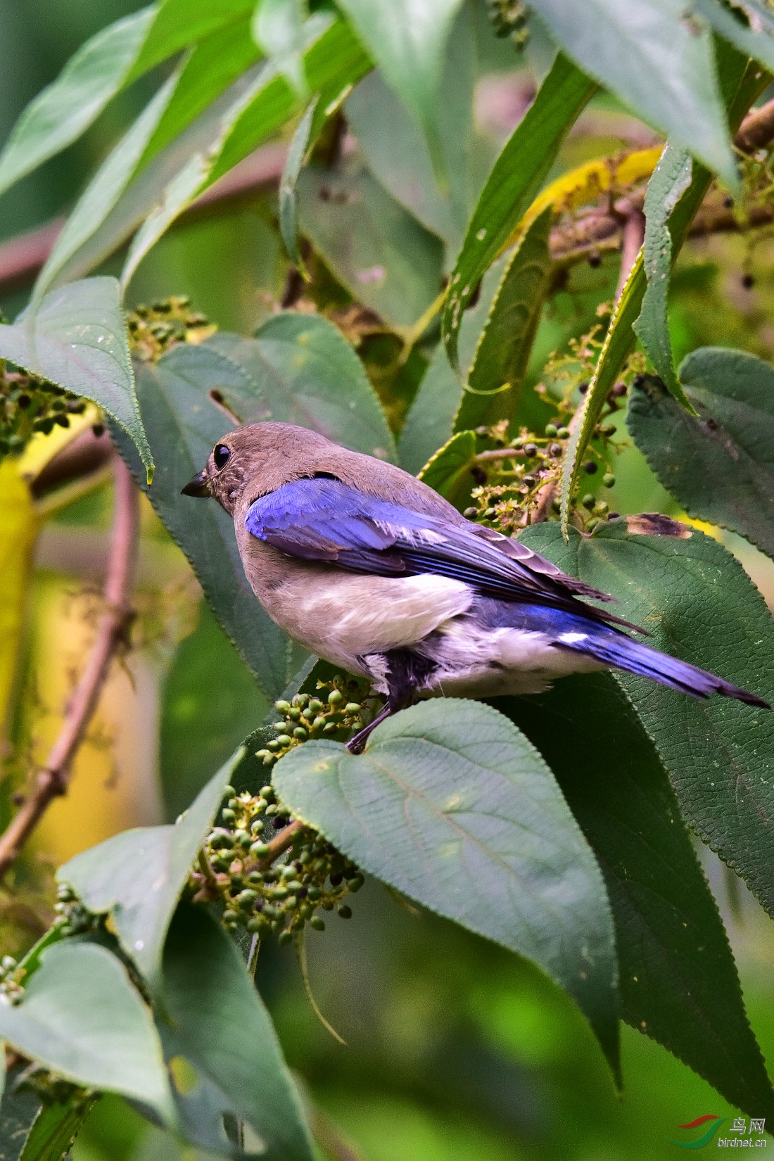 DSC_1161.JPG