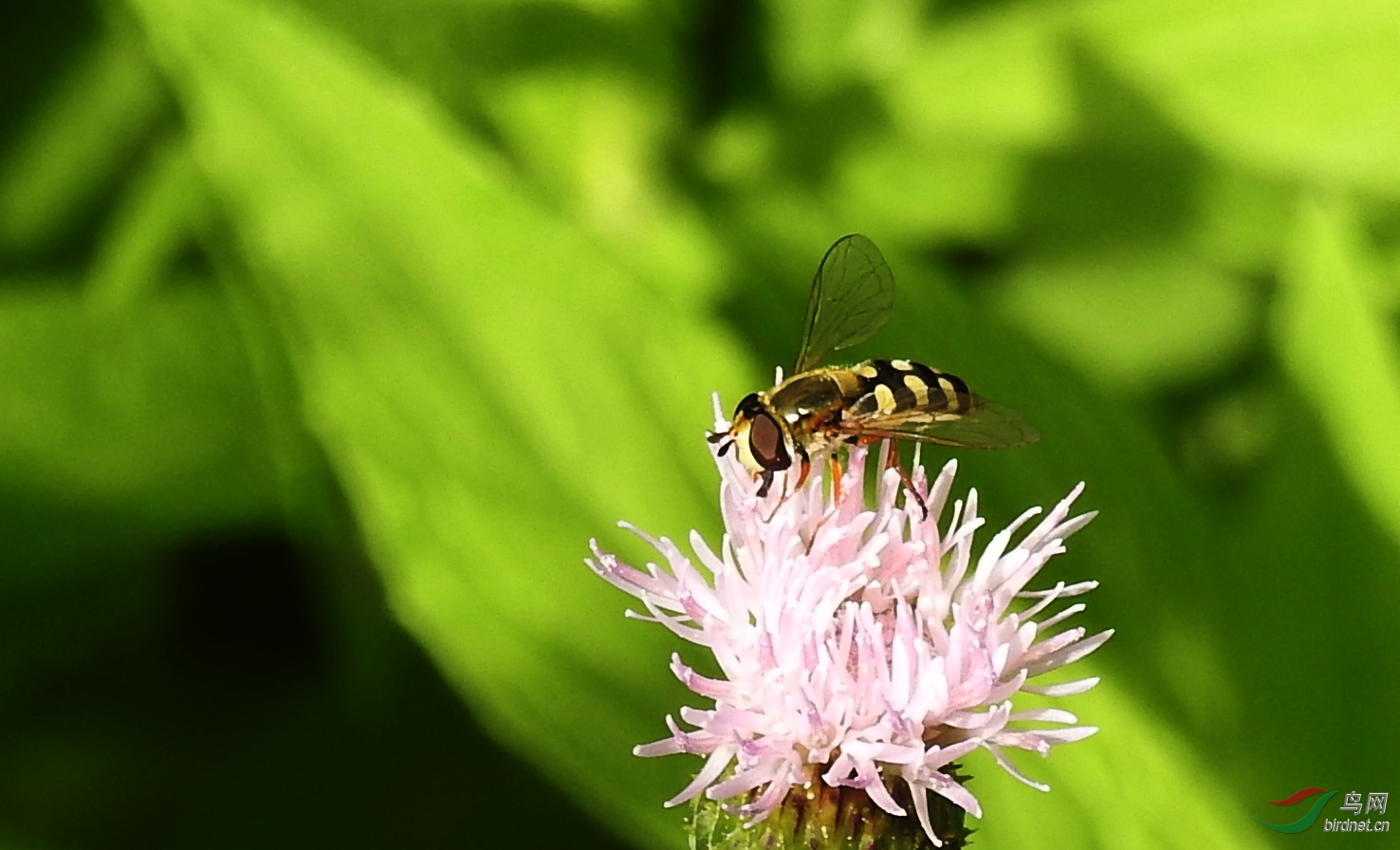 DSCN3622.JPG