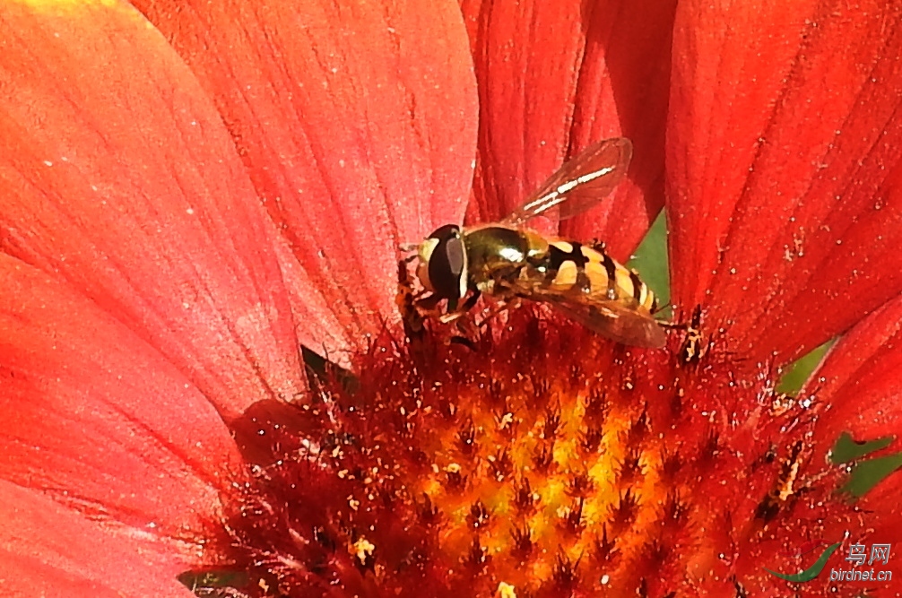 DSCN3673.JPG