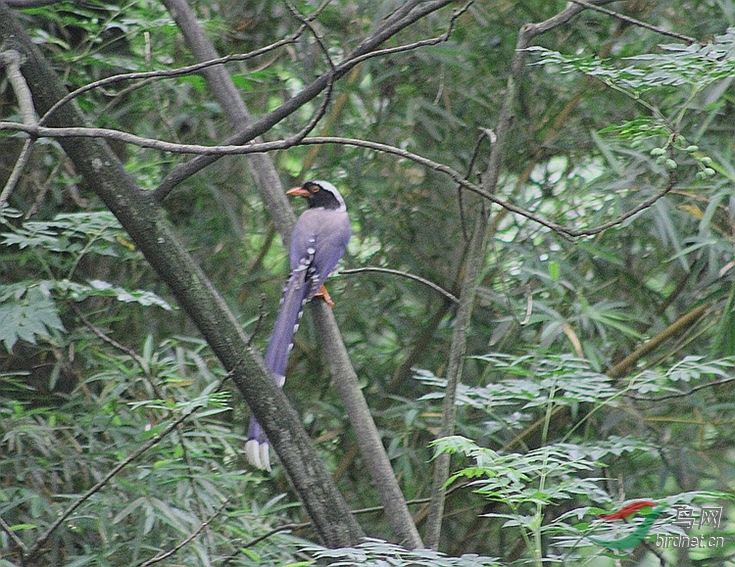 IMG_0001.JPG