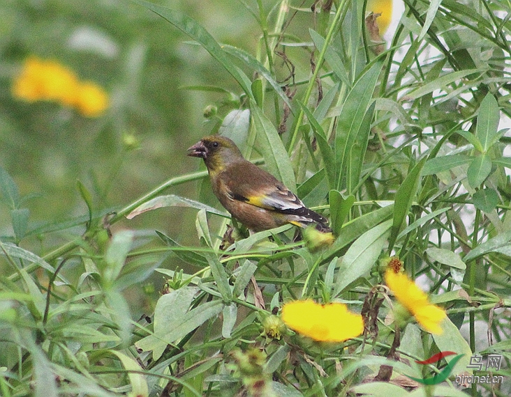 IMG_0005.JPG